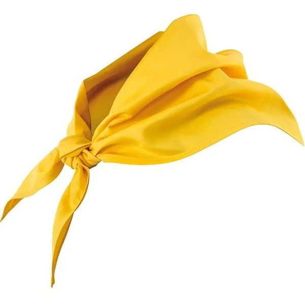 Neckerchief gallery