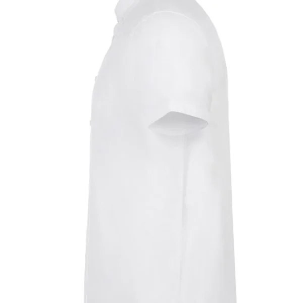 Men's Short Sleeve Stretch Oxford Shirt gallery