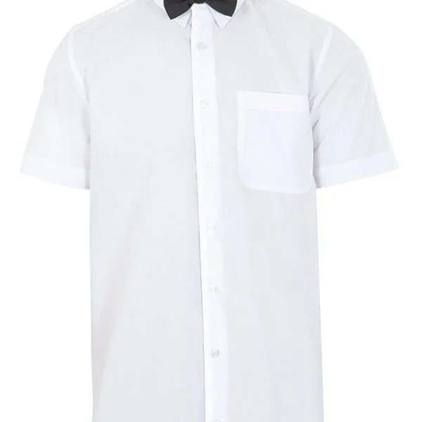 Bow Tie