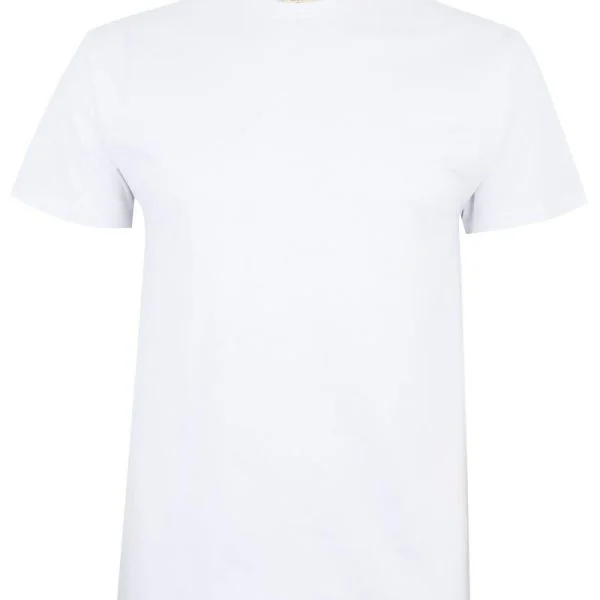 PALM - SHORT SLEEVE T-SHIRT 190 gallery