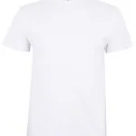 PALM - SHORT SLEEVE T-SHIRT 190
