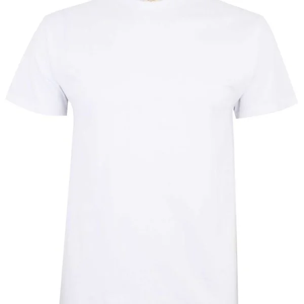 PALM - SHORT SLEEVE T-SHIRT 190