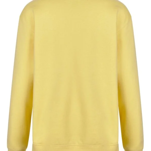 AVALON KIDS - KIDS CREW NECK SWEATSHIRT gallery