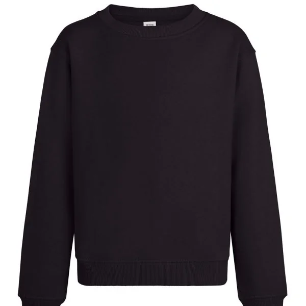 AVALON KIDS - KIDS CREW NECK SWEATSHIRT gallery