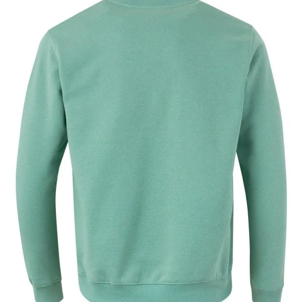 MK620V_613_2XL - SAGE