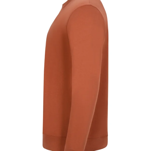 STCN300U_314_2XL - CARROT