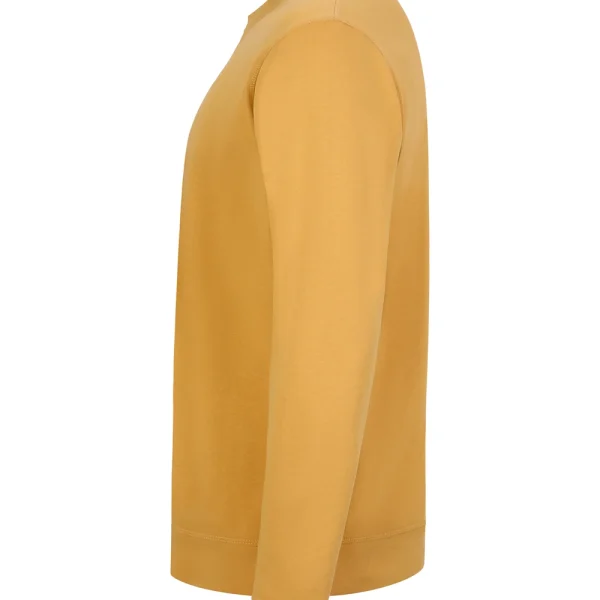 STCN300U_320_2XL - CURRY
