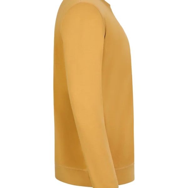 STCN300U_320_2XL - CURRY
